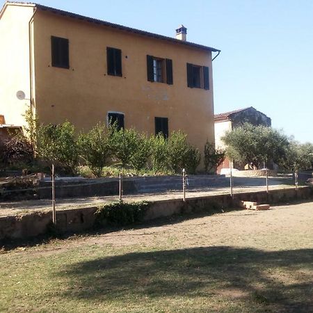 Agriturismo Il Cavallone Villa Montelupo Fiorentino Exterior photo